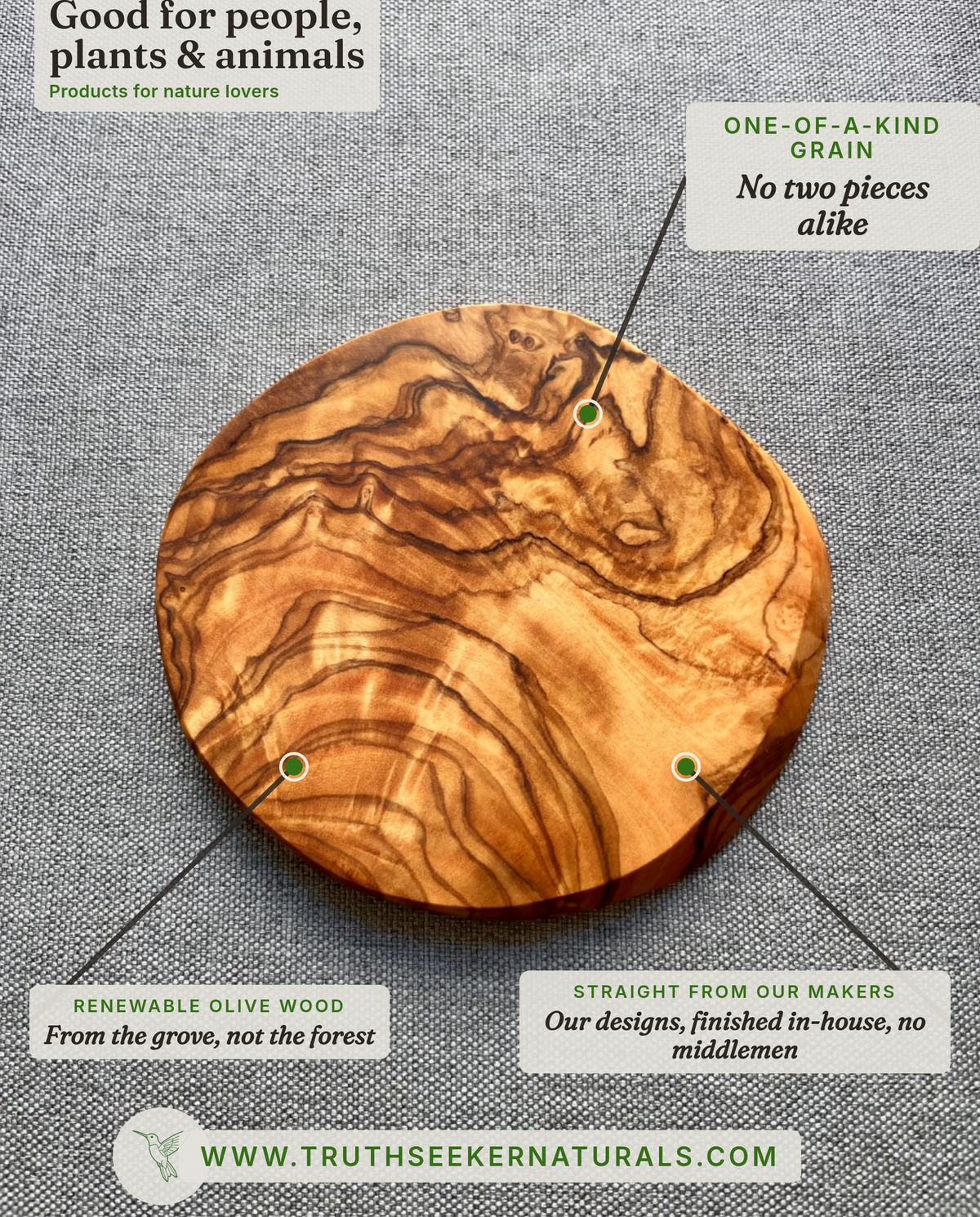 Olive Wood - Coasters