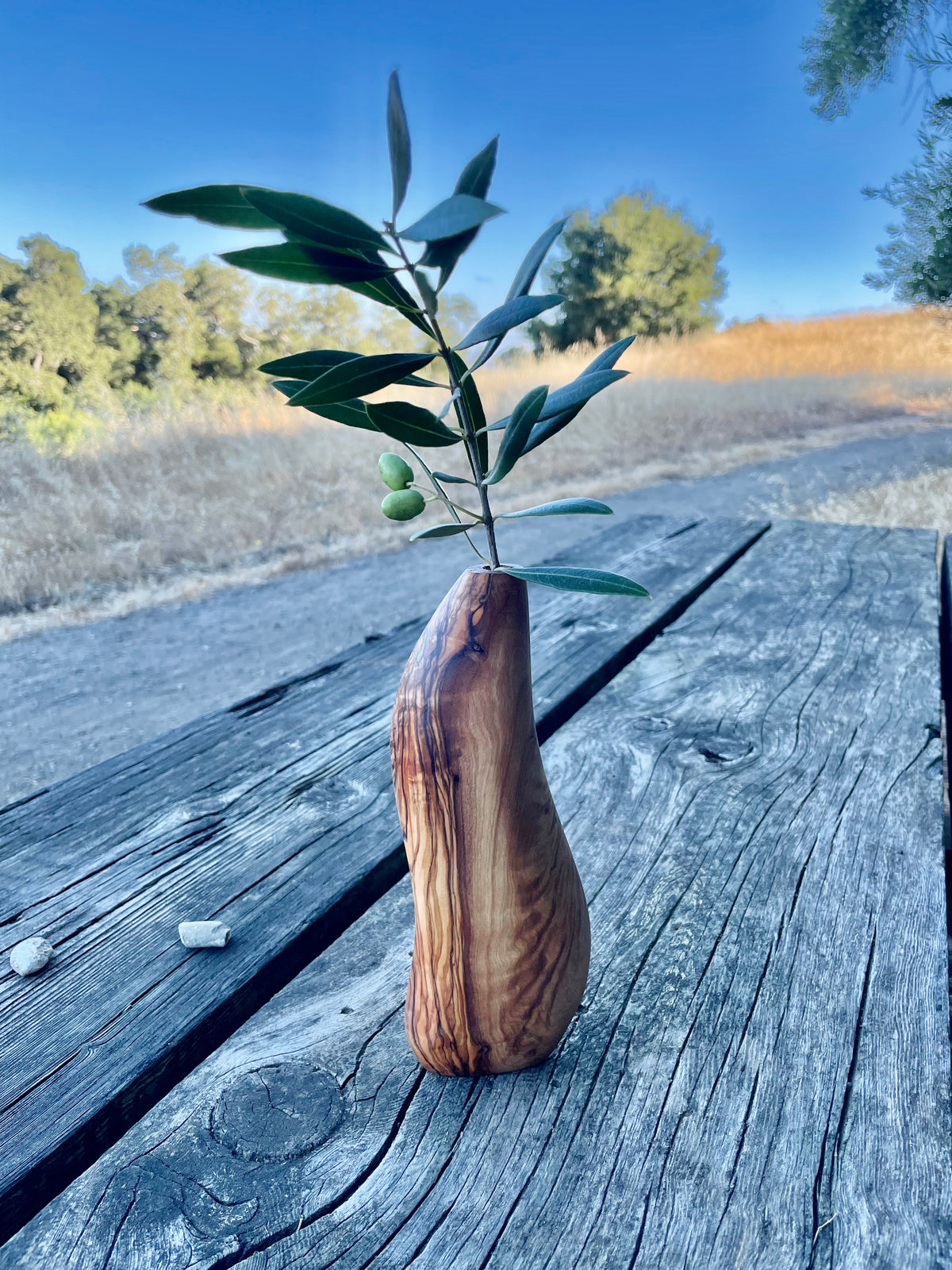 Olive Wood - Dry Vase