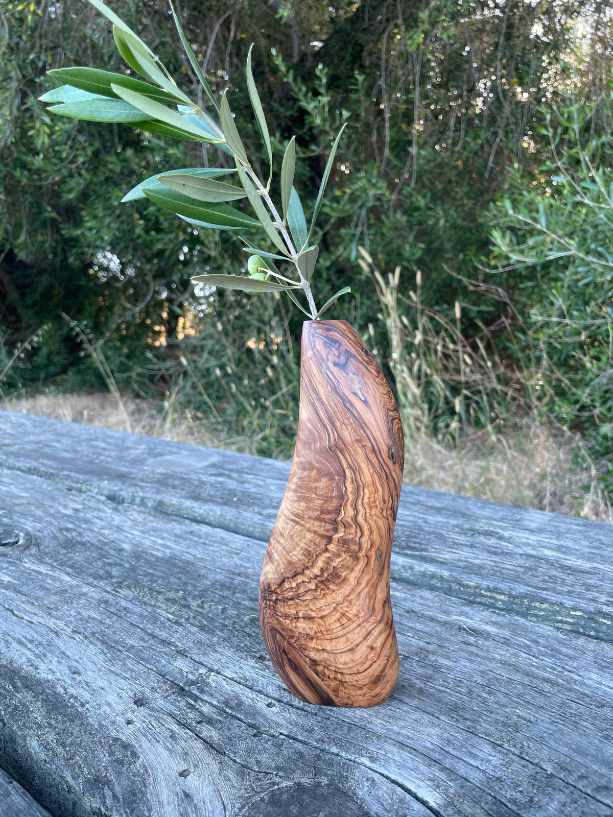 Olive Wood - Dry Vase